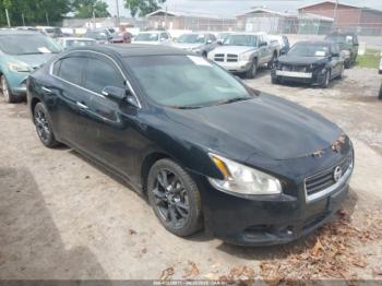  Salvage Nissan Maxima