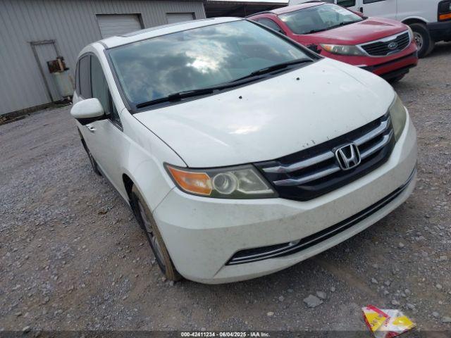  Salvage Honda Odyssey