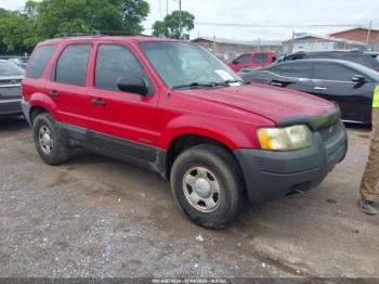  Salvage Ford Escape