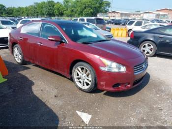  Salvage Nissan Maxima