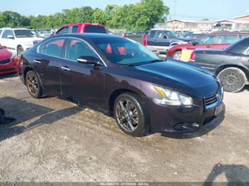  Salvage Nissan Maxima