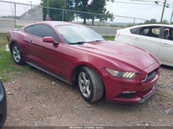  Salvage Ford Mustang