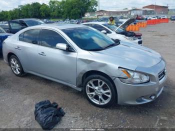  Salvage Nissan Maxima