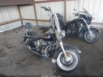  Salvage Harley-Davidson Flstci