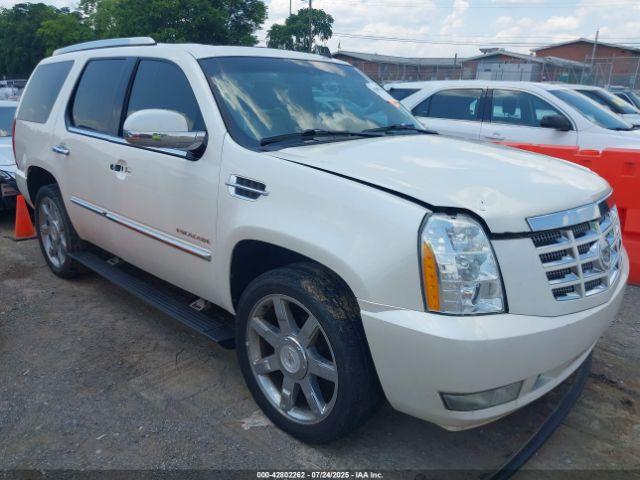  Salvage Cadillac Escalade
