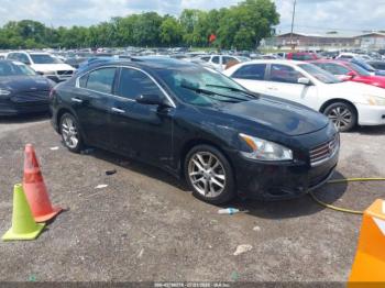  Salvage Nissan Maxima
