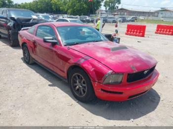  Salvage Ford Mustang