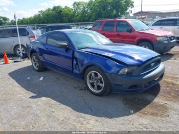  Salvage Ford Mustang