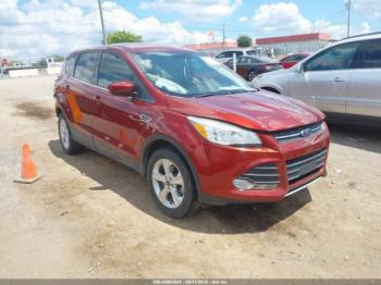  Salvage Ford Escape