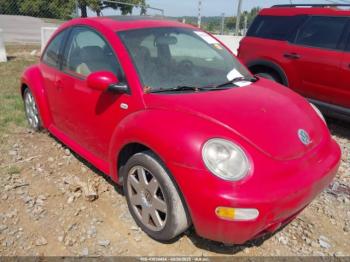  Salvage Volkswagen Beetle