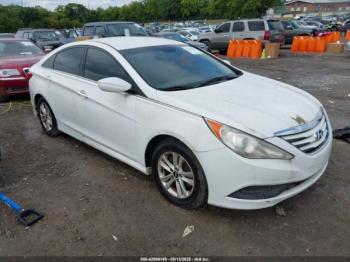  Salvage Hyundai SONATA