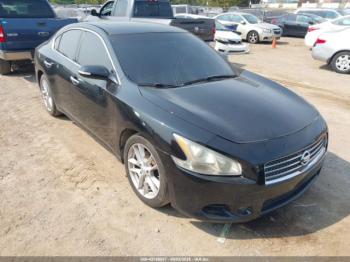  Salvage Nissan Maxima