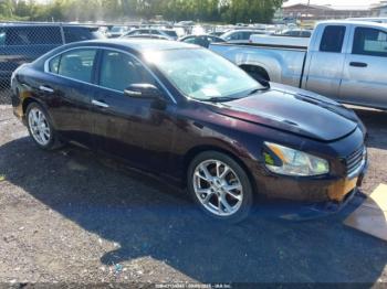  Salvage Nissan Maxima