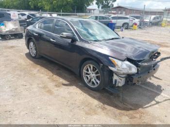  Salvage Nissan Maxima