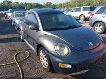  Salvage Volkswagen Beetle