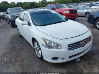  Salvage Nissan Maxima