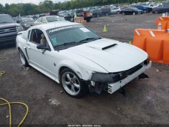  Salvage Ford Mustang