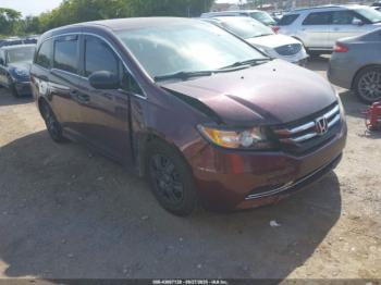 Salvage Honda Odyssey