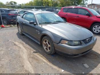  Salvage Ford Mustang