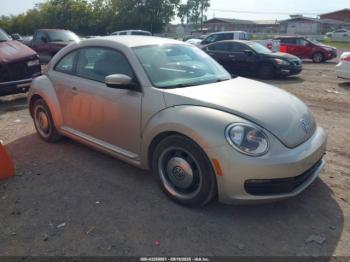  Salvage Volkswagen Beetle