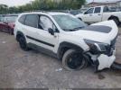 Subaru Forester Wilderness Image 1