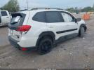 Subaru Forester Wilderness Image 3