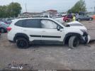 Subaru Forester Wilderness Image 15