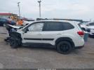 Subaru Forester Wilderness Image 8