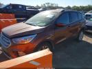 Ford Escape Se Image 9