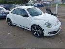 Volkswagen Beetle 2.0t Image 1