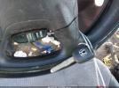 Honda CR-V Lx Image 9