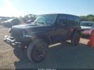 Jeep Wrangler 4-door Rubicon Farout 4x4 Image 6