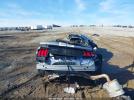 Ford Mustang Shelby Gt500 Fastback Image 16