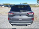 Ford Escape Se Image 11