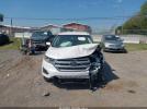 Ford Edge Titanium Image 7
