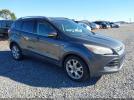 Ford Escape Titanium Image 1