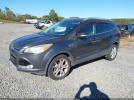Ford Escape Titanium Image 5