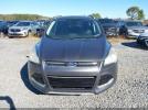 Ford Escape Titanium Image 11