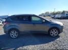 Ford Escape Titanium Image 14