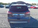 Ford Escape Titanium Image 13