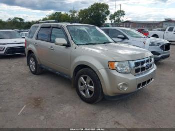  Salvage Ford Escape