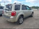 Ford Escape Limited Image 9