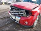 Ford Escape Limited Image 11