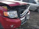 Ford Escape Limited Image 12