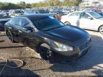  Salvage Nissan Maxima