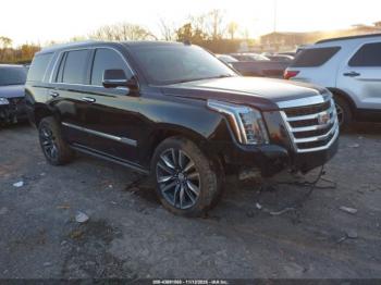  Salvage Cadillac Escalade
