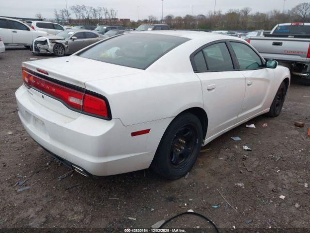 Dodge Charger Police Image 3