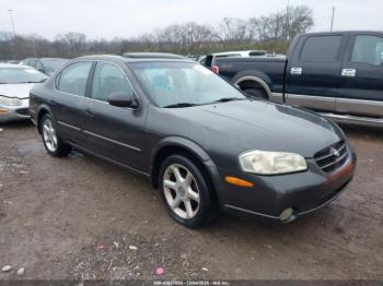  Salvage Nissan Maxima