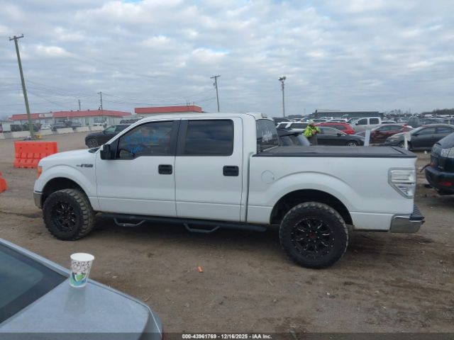 Ford F-150 Xlt Image 11