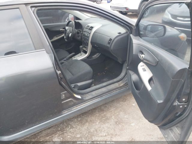 Toyota Corolla S Image 3